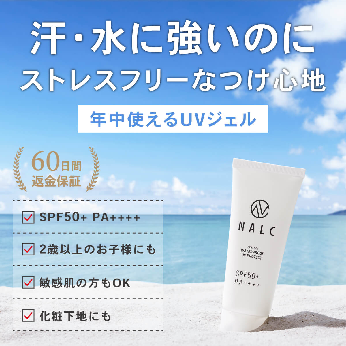 石西礁湖&ウミガメシュノーケルプラン!ウミガメとの遭遇率90%以上!